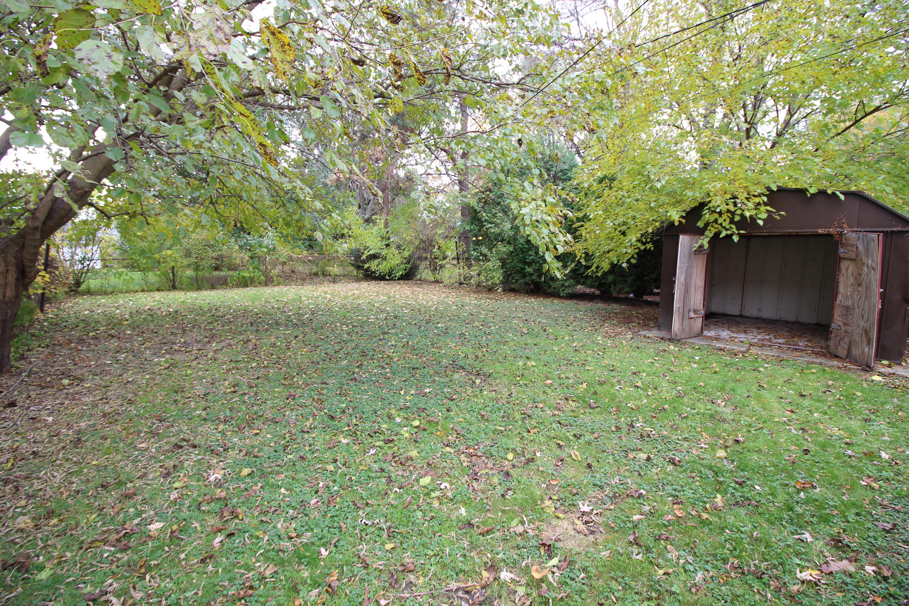 18336 Twelve Mile Road Roseville, MI 48066 - Photo 2 of 15 IMG_9847