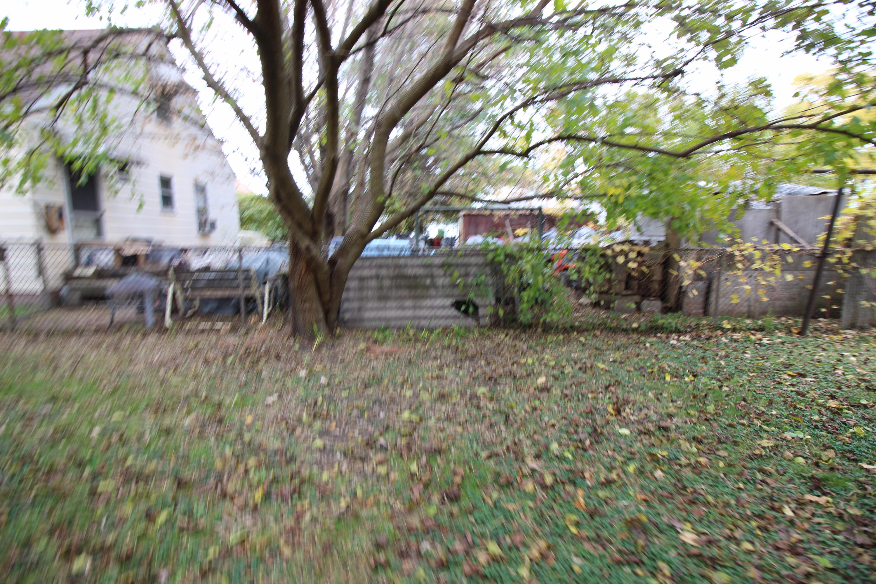 18336 Twelve Mile Road Roseville, MI 48066 - Photo 3 of 15 IMG_9848