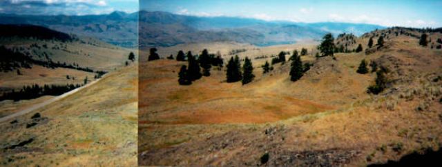 Nine 9 Mile Road Oroville, WA 98844 - Photo 1 of 1 Gallery Image 1