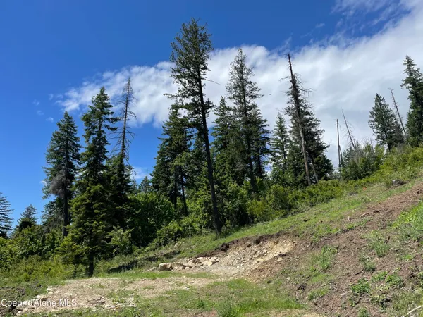 $499,000 | 200 Clark Fork, Clark Fork, ID 83811