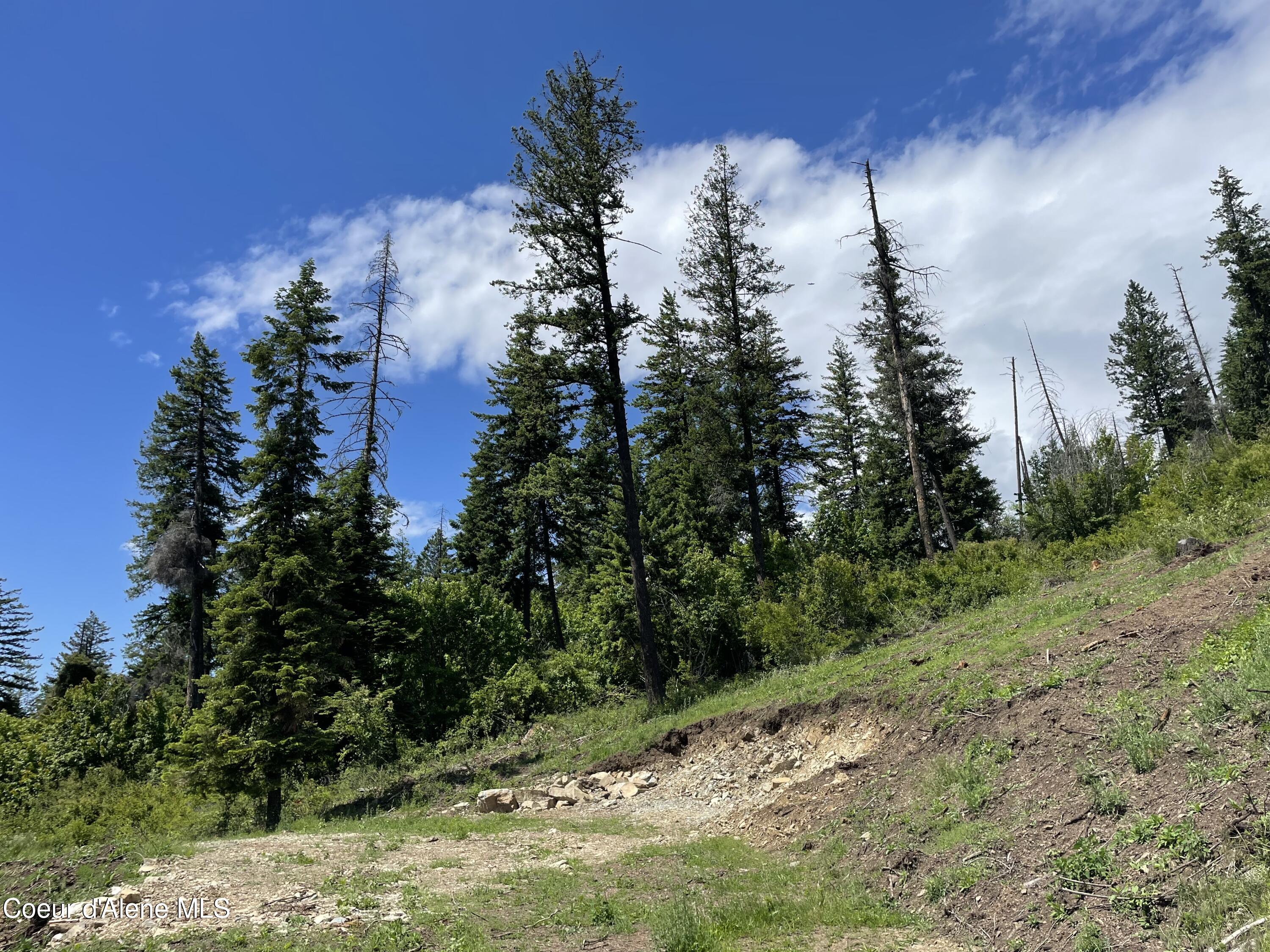 200 Clark Fork Clark Fork, ID 83811 - Photo 14 of 28 IMG_8367