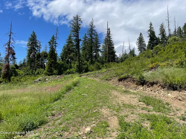 $499,000 | 200 Clark Fork, Clark Fork, ID 83811