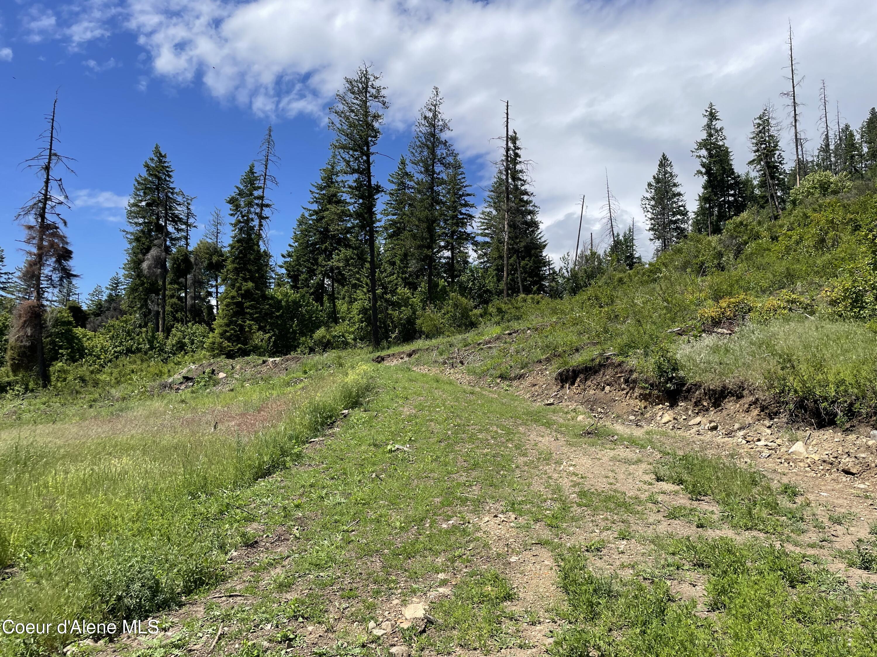 200 Clark Fork Clark Fork, ID 83811 - Photo 15 of 28 IMG_8366