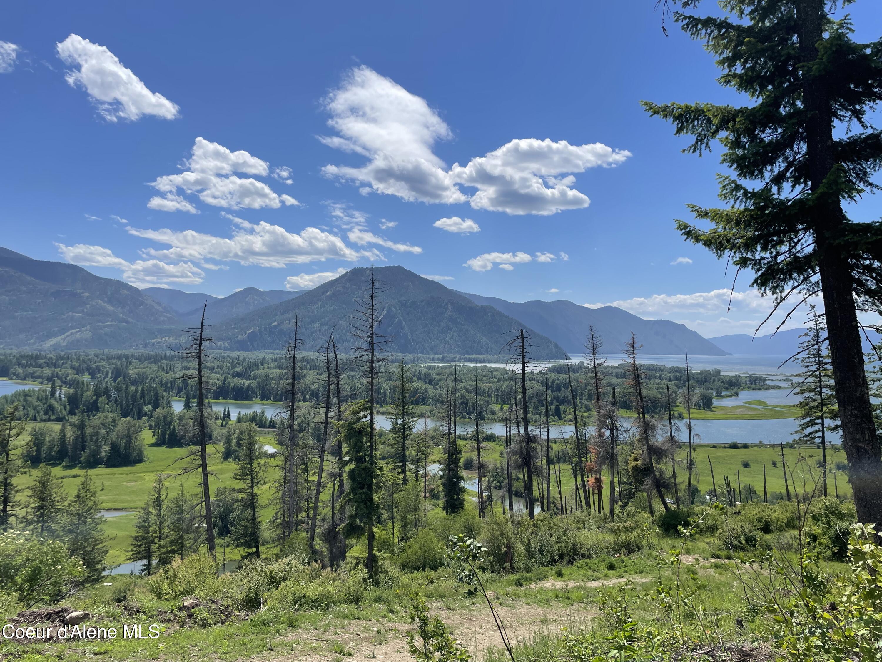 200 Clark Fork Clark Fork, ID 83811 - Photo 16 of 28 IMG_8365
