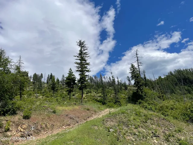 $499,000 | 200 Clark Fork, Clark Fork, ID 83811