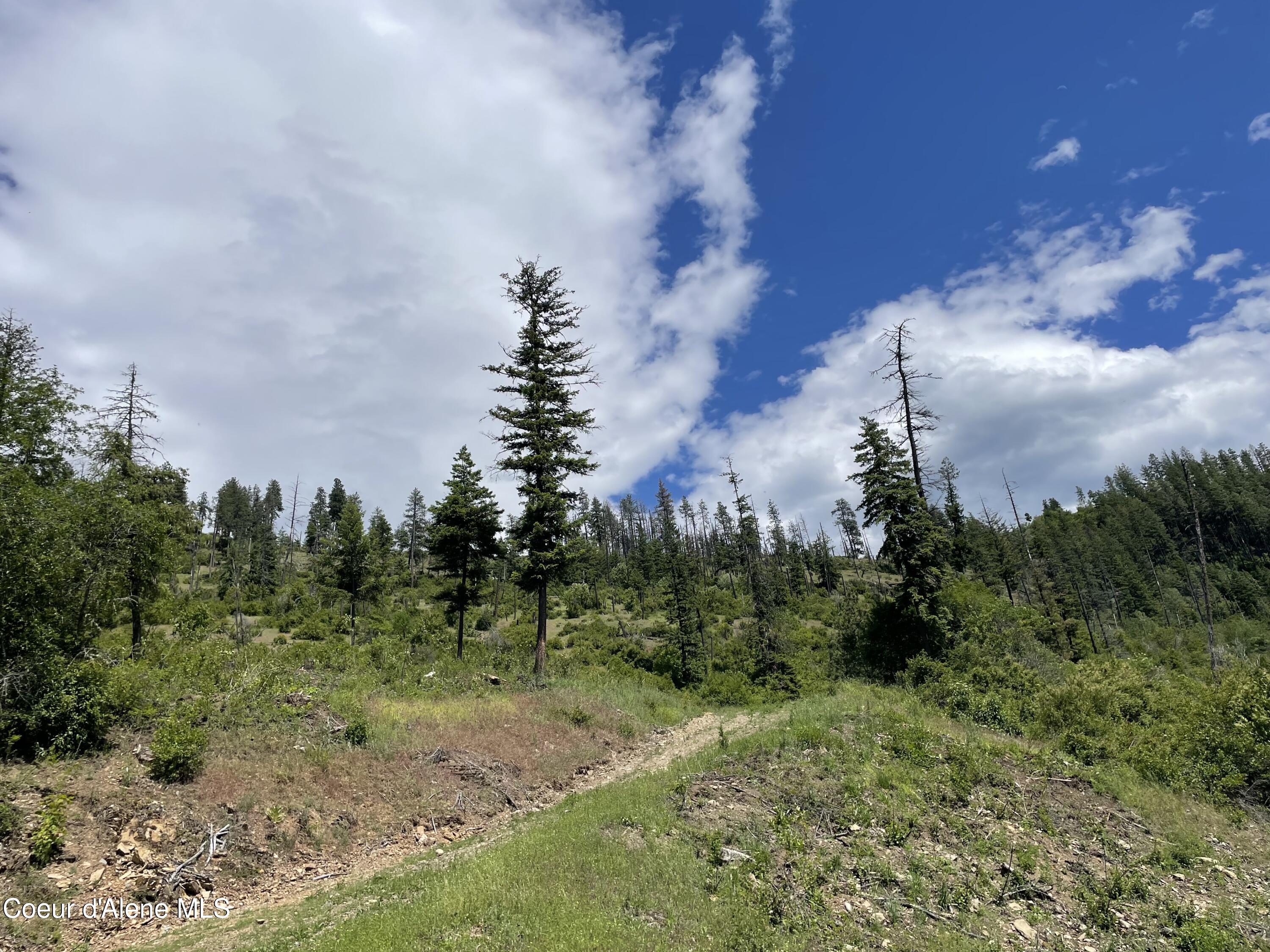 200 Clark Fork Clark Fork, ID 83811 - Photo 19 of 28 IMG_8362