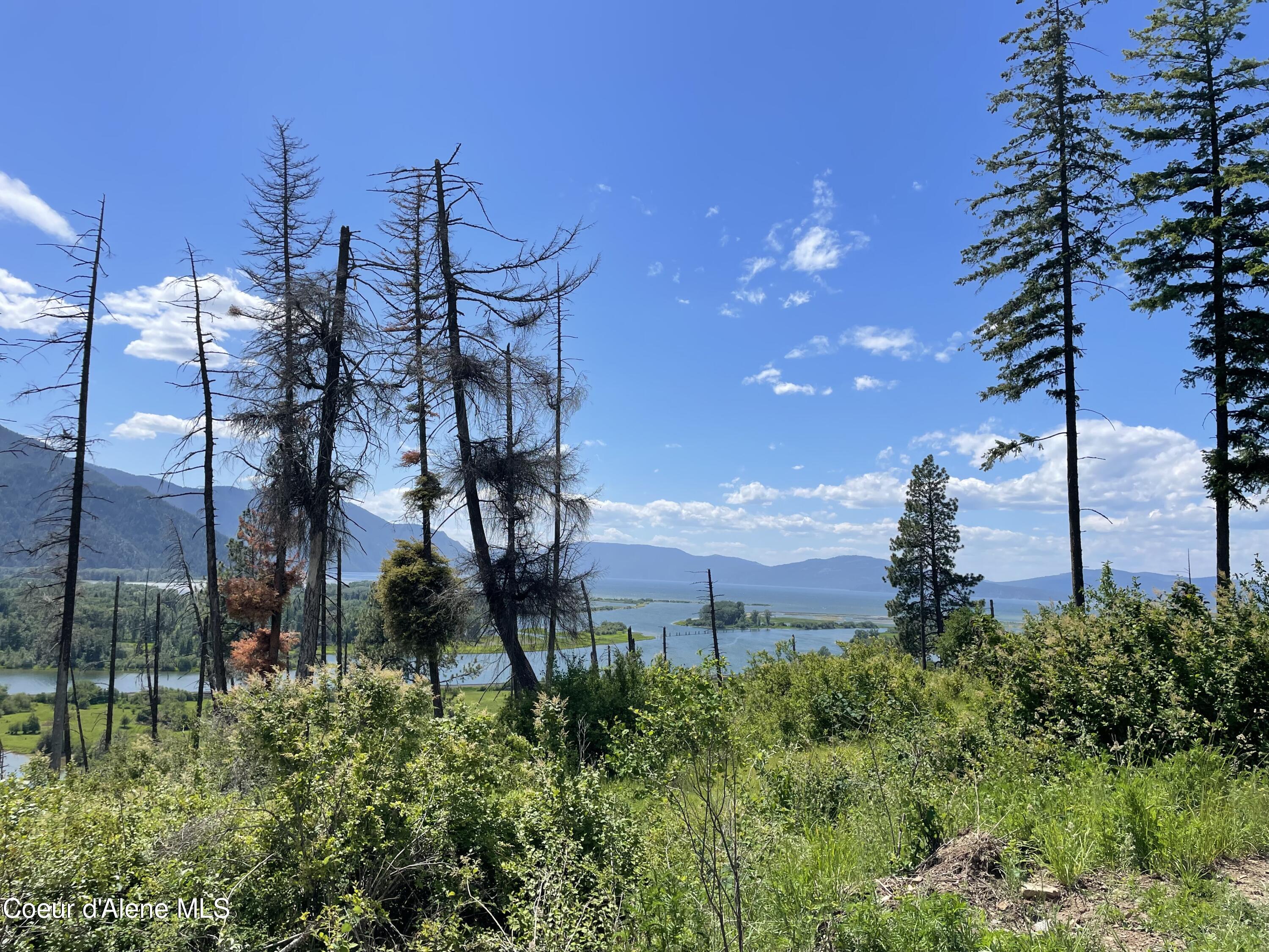 200 Clark Fork Clark Fork, ID 83811 - Photo 20 of 28 IMG_8361