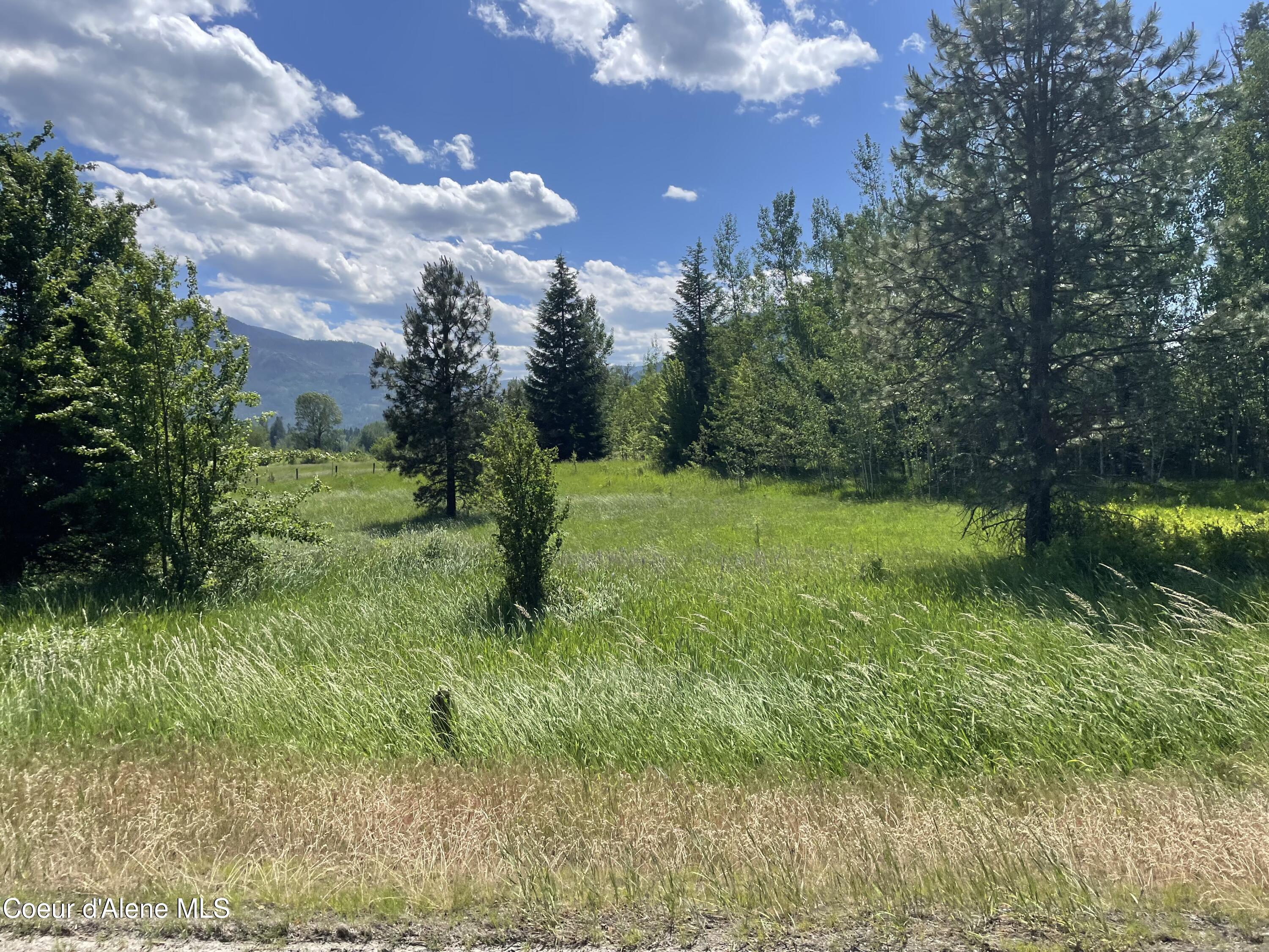 200 Clark Fork Clark Fork, ID 83811 - Photo 28 of 28 IMG_8378