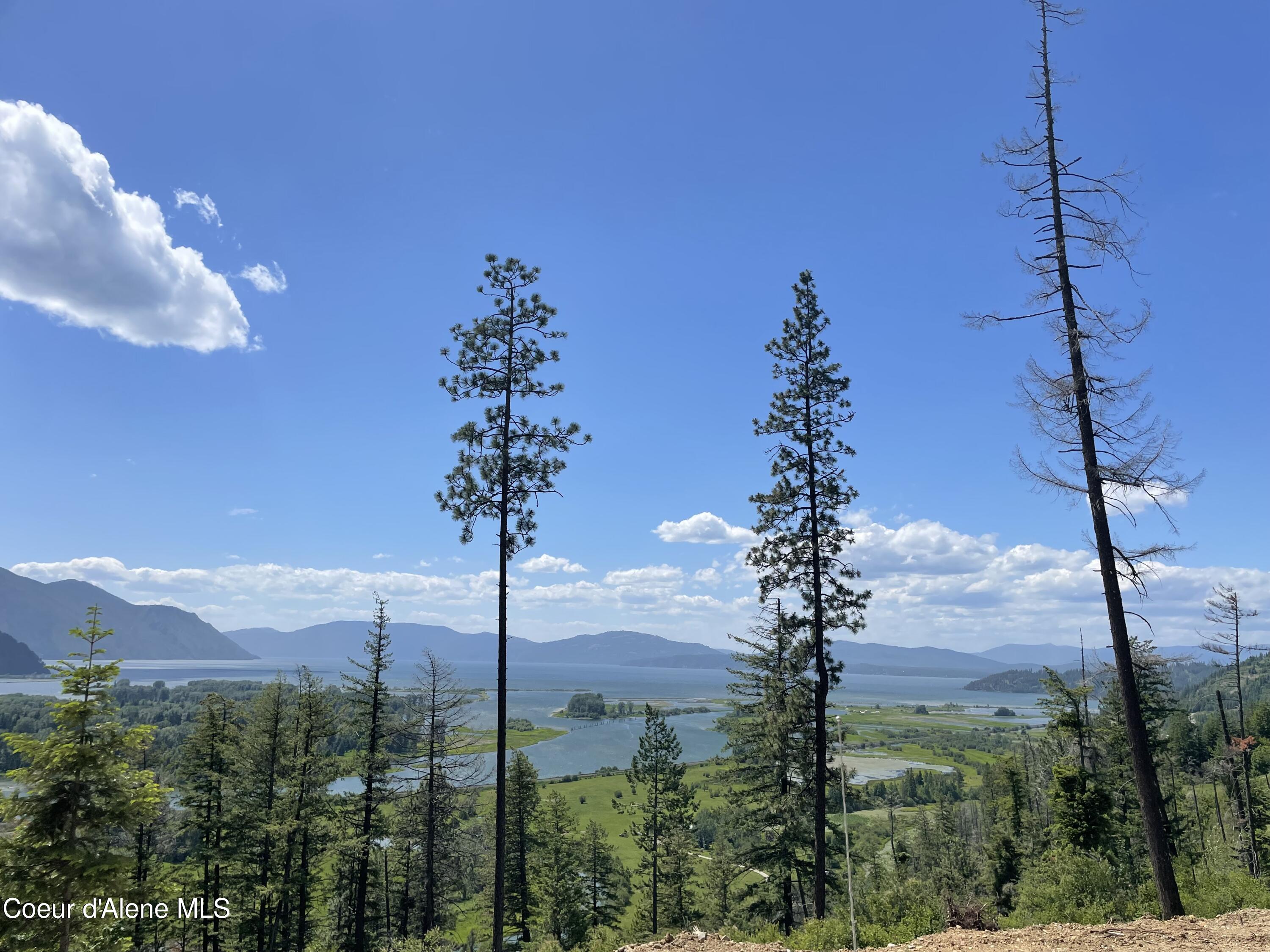 200 Clark Fork Clark Fork, ID 83811 - Photo 4 of 28 IMG_8375