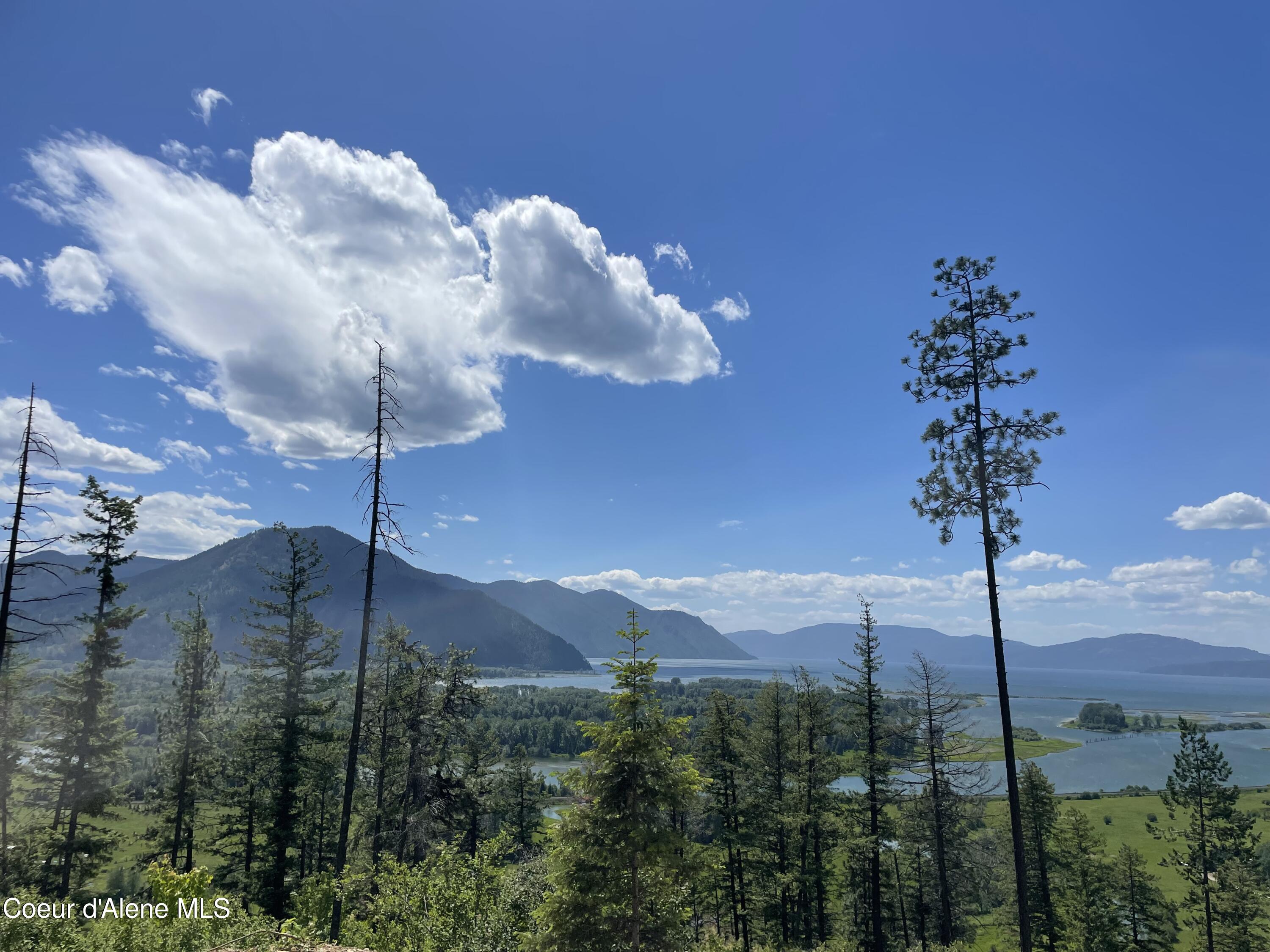 200 Clark Fork Clark Fork, ID 83811 - Photo 5 of 28 IMG_8374