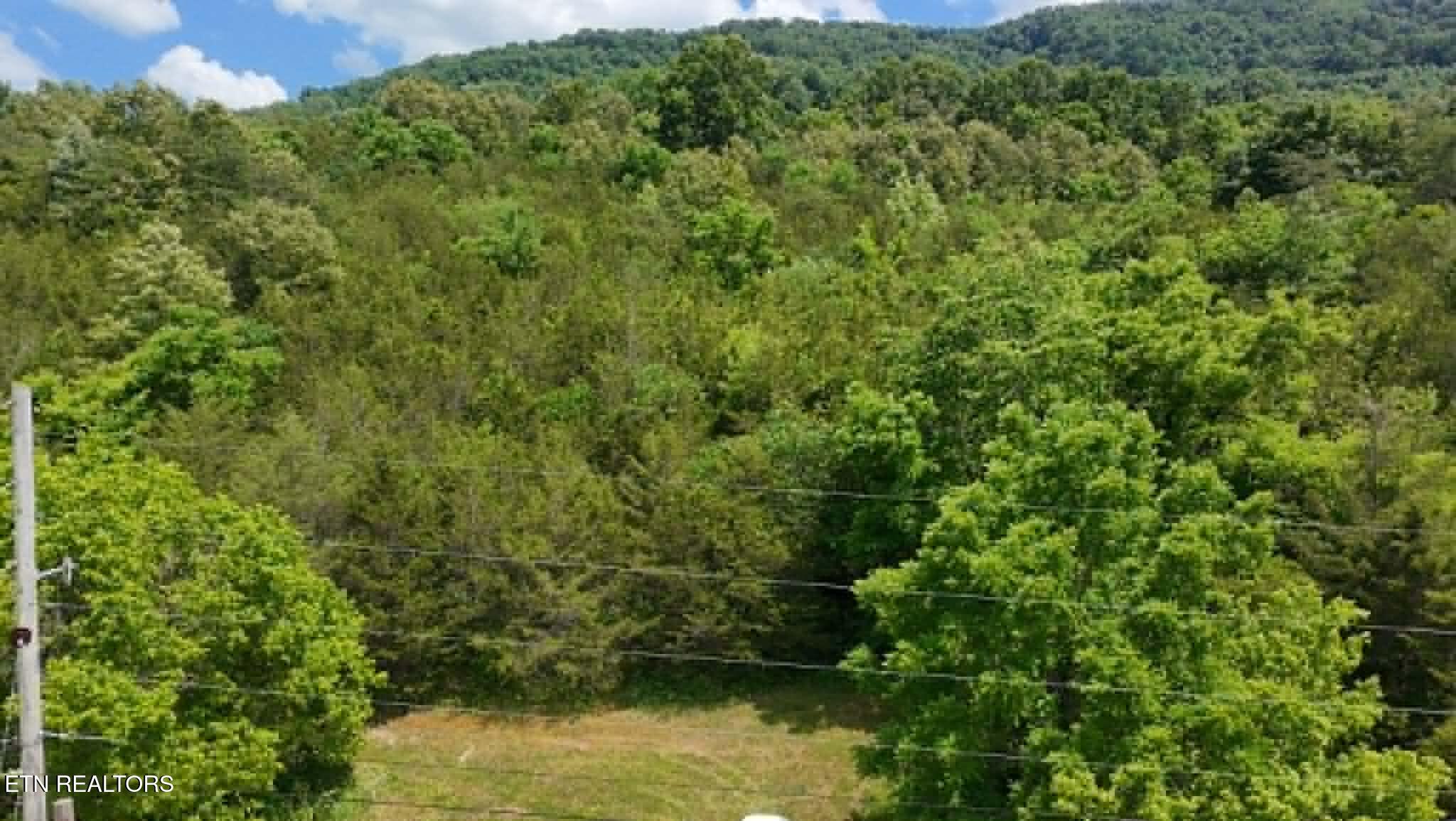 0 Mulberry Gap Road Tazewell, TN 37879 - Photo 2 of 5 b0ed4292-9c7d-41bc-b5a8-f5ab3b9606ed