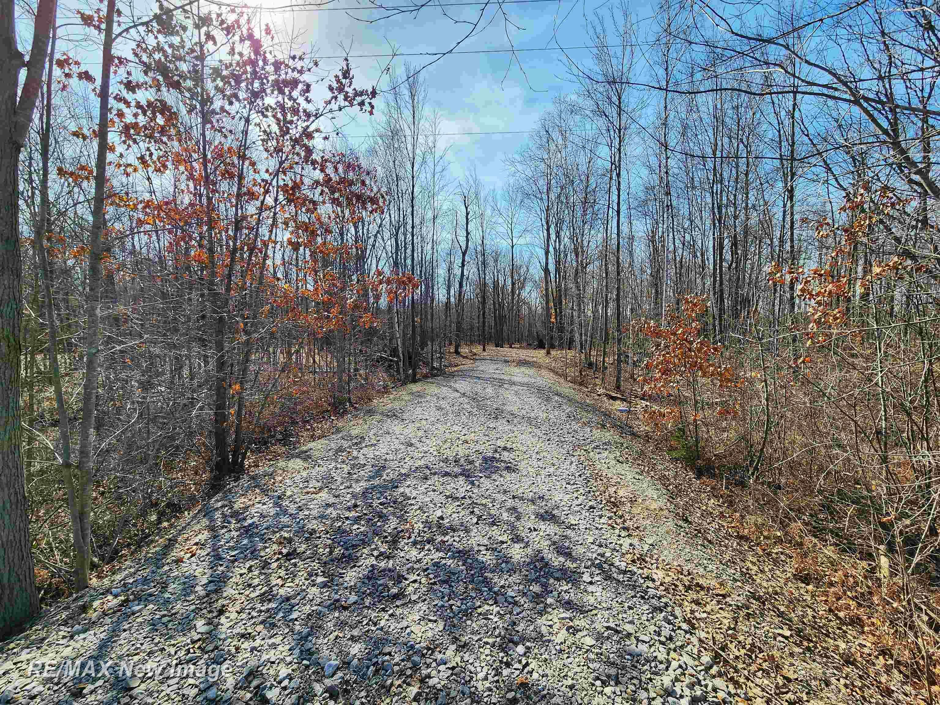 14219 West Townline Road St. Charles, MI 48655 - Photo 10 of 16