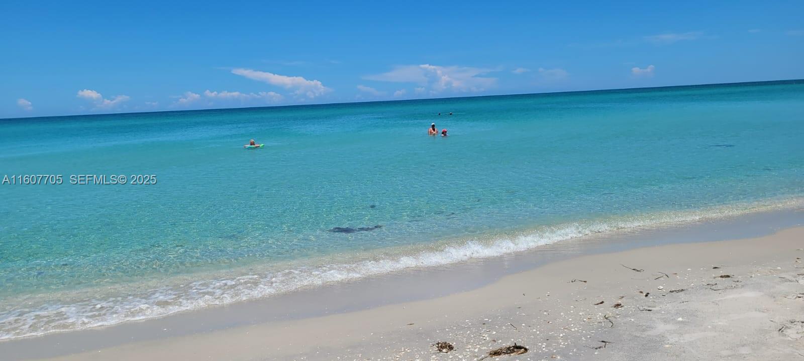 47 East Brig Circle Placida, FL 33946 - Photo 28 of 39 a view of a big yard