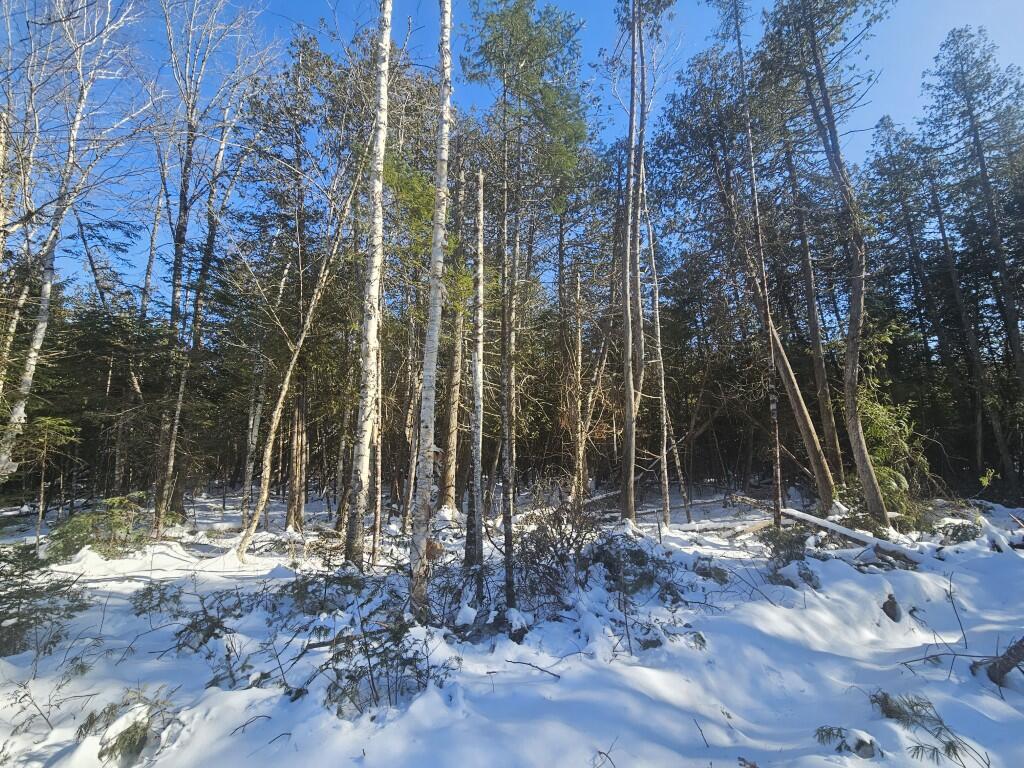 104 Town Road Lagrange, ME 04453 - Photo 7 of 30 6 North lot