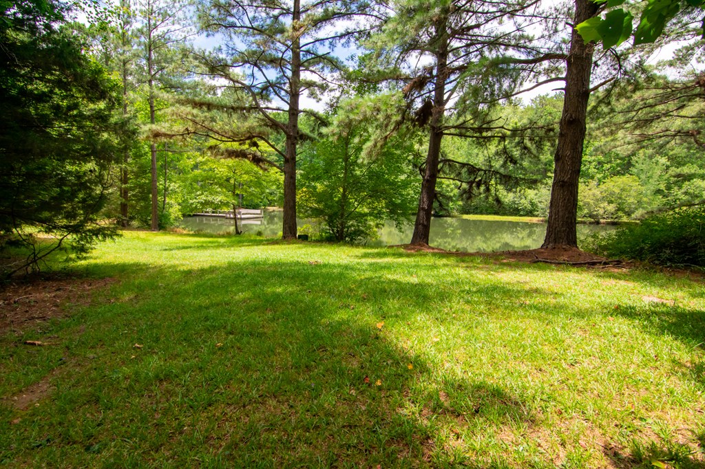 1754 Kings Gap Road Hamilton, GA 31811 - Photo 55 of 74 Gallery Image 55