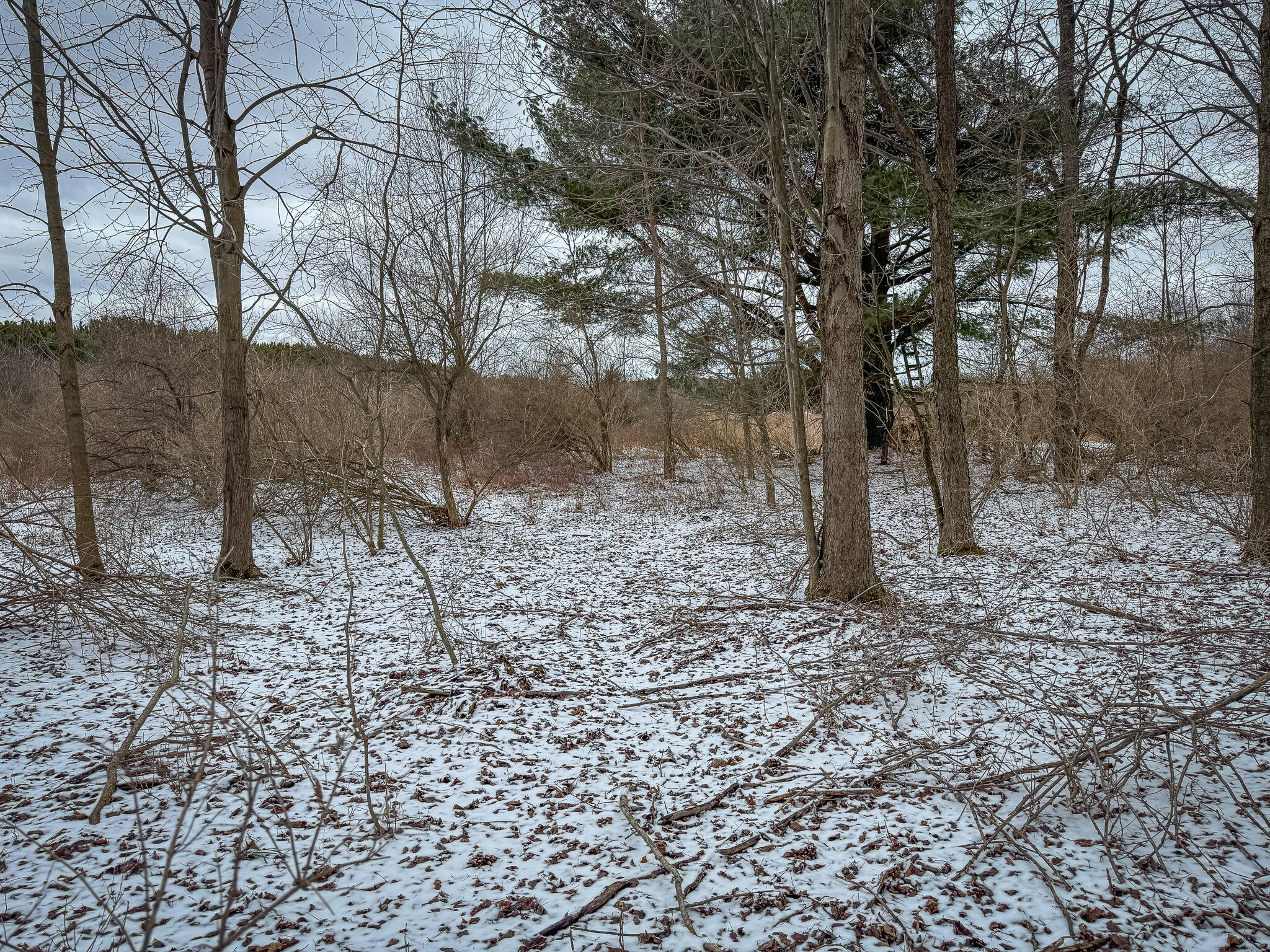 South Sheridan Road Caro, MI 48723 - Photo 14 of 29 IMG_0322