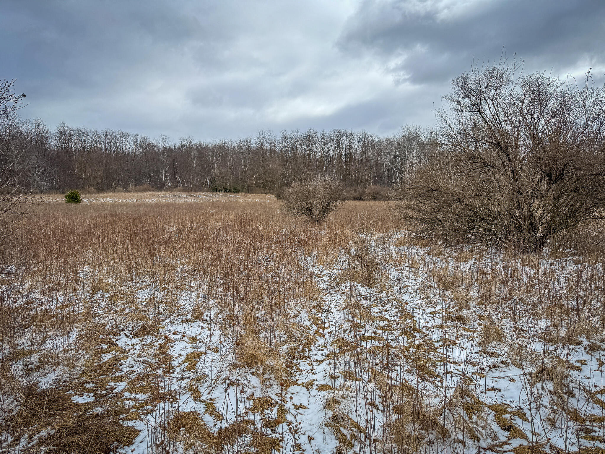 South Sheridan Road Caro, MI 48723 - Photo 24 of 29 IMG_0337