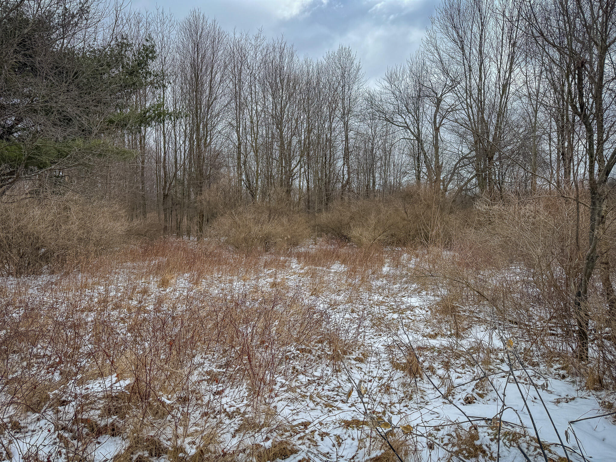 South Sheridan Road Caro, MI 48723 - Photo 26 of 29 IMG_0339