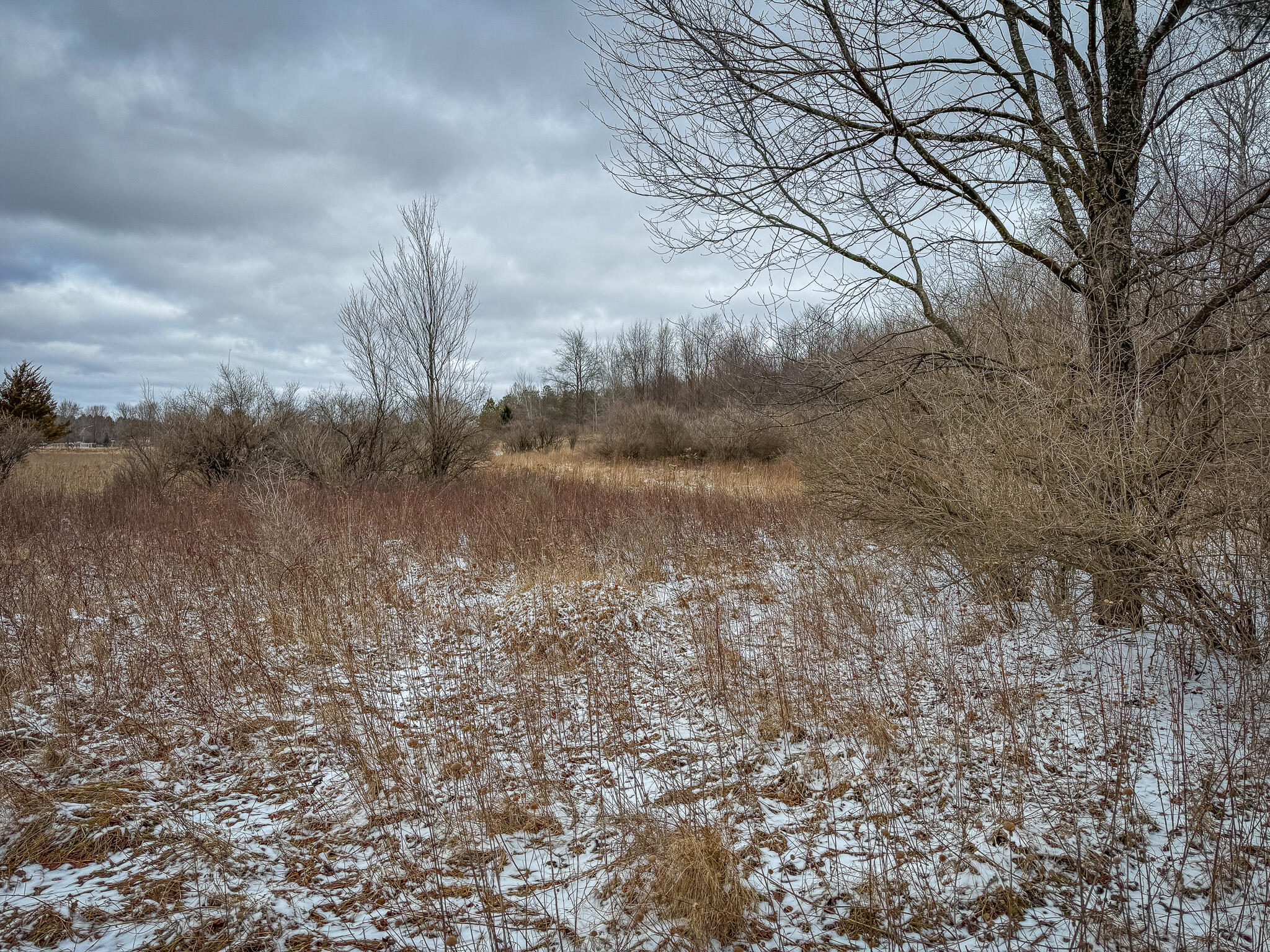 South Sheridan Road Caro, MI 48723 - Photo 27 of 29 IMG_0341