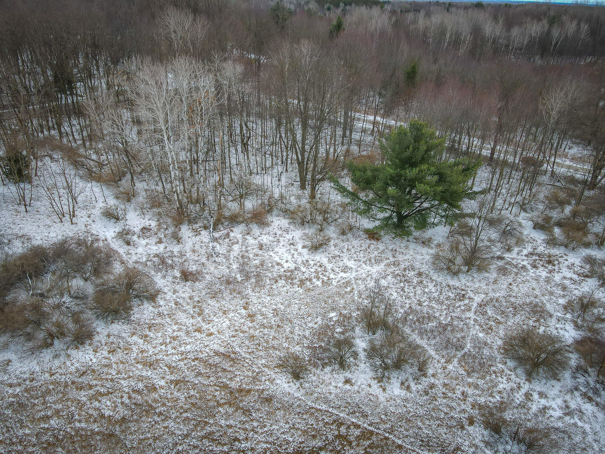 South Sheridan Road Caro, MI 48723 - Photo 3 of 29 DJI_0050