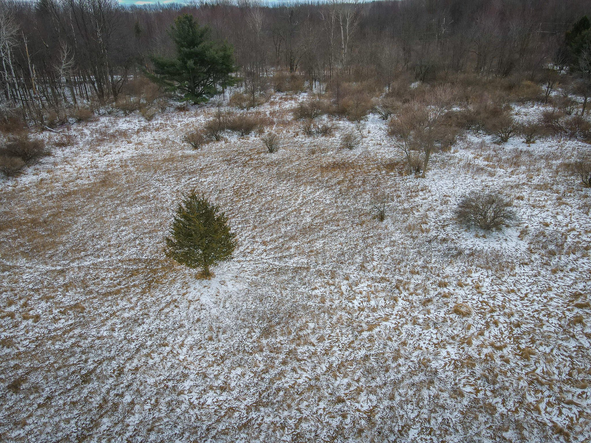South Sheridan Road Caro, MI 48723 - Photo 8 of 29 DJI_0059