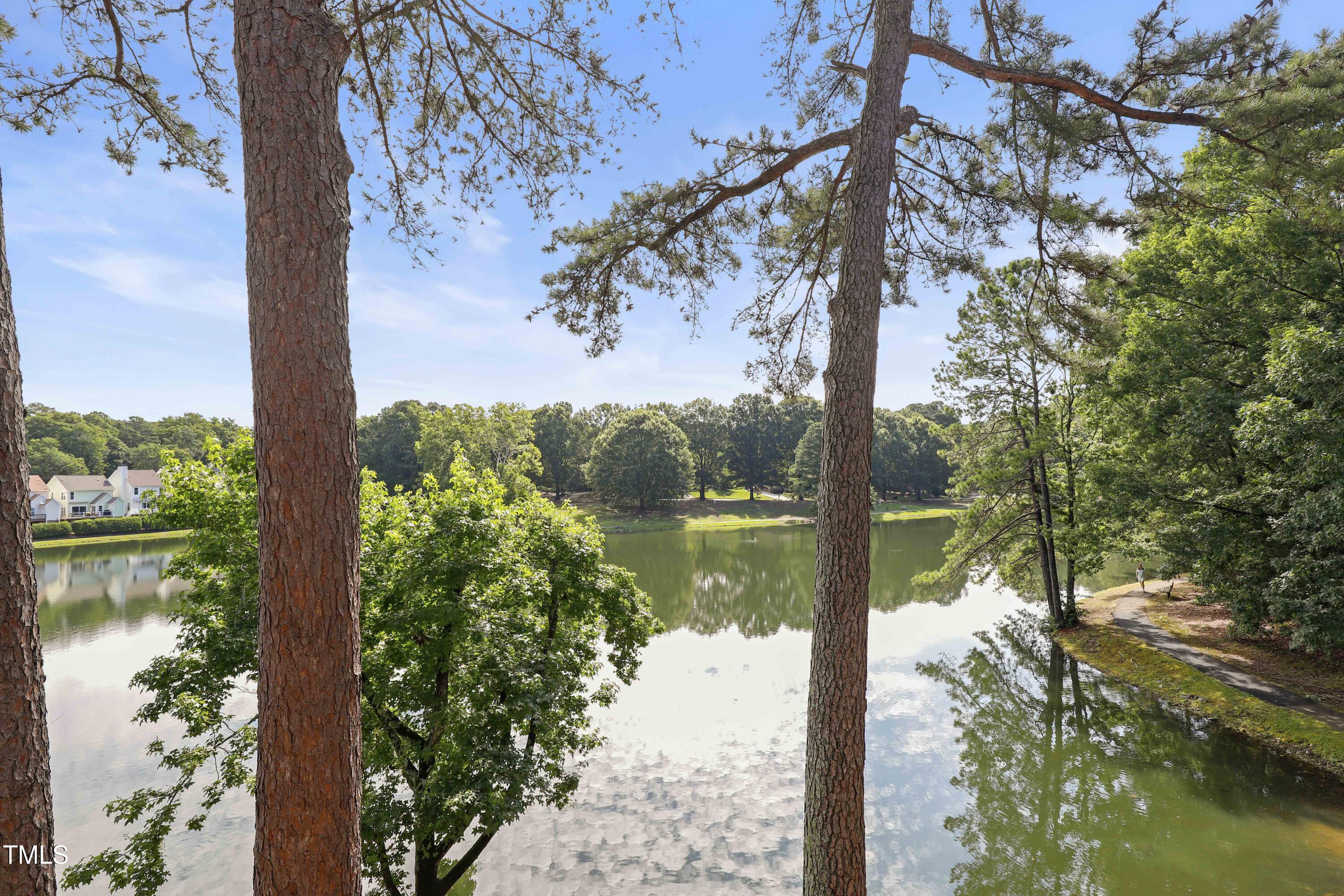 a view of lake from a tree
