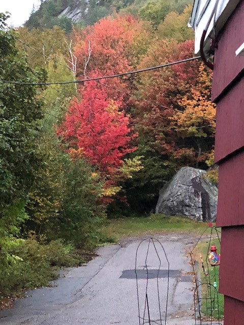 2 Alice Street Berlin, NH 03570 - Photo 17 of 34 Gallery Image 17