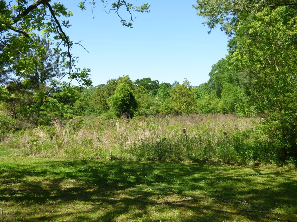 1002 Willis Cotton Road Summit, MS 39666 - Photo 15 of 16 Photo 15