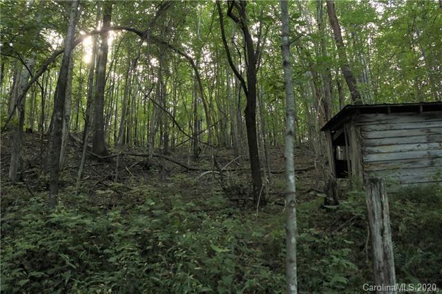 Tbd Burgess Road Mill Spring, NC 28756 - Photo 2 of 10 a view of a forest