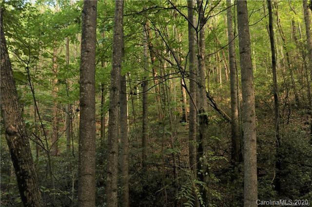 Tbd Burgess Road Mill Spring, NC 28756 - Photo 5 of 10