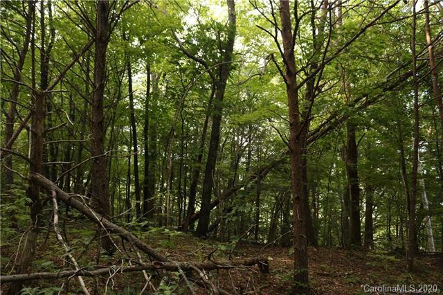 Tbd Burgess Road Mill Spring, NC 28756 - Photo 10 of 10 a view of a forest with trees
