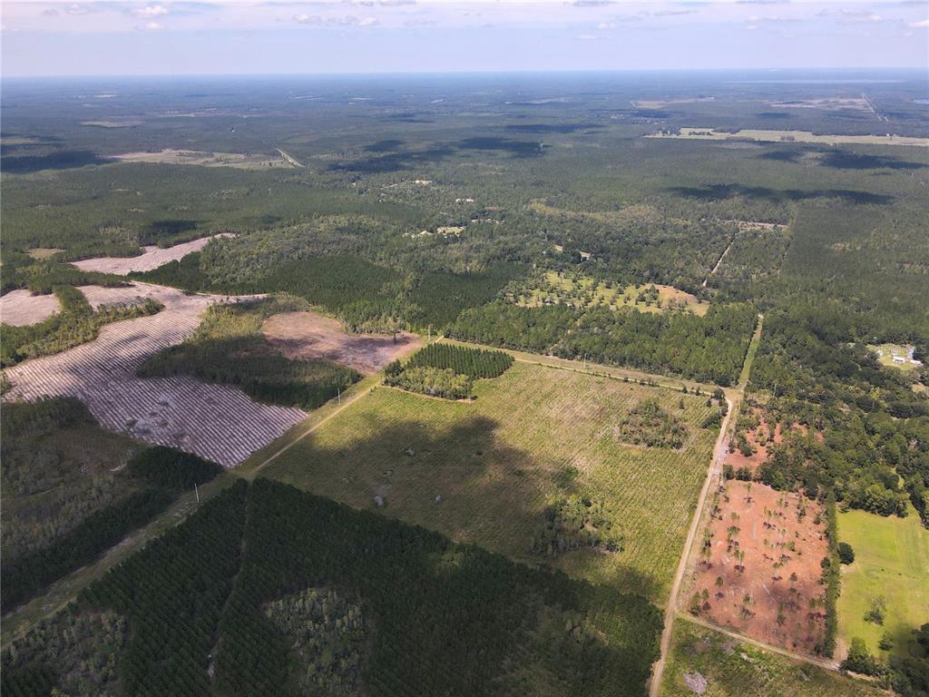 1475 Northeast Rd Gainesville Road Waldo, FL 32694 - Photo 6 of 22