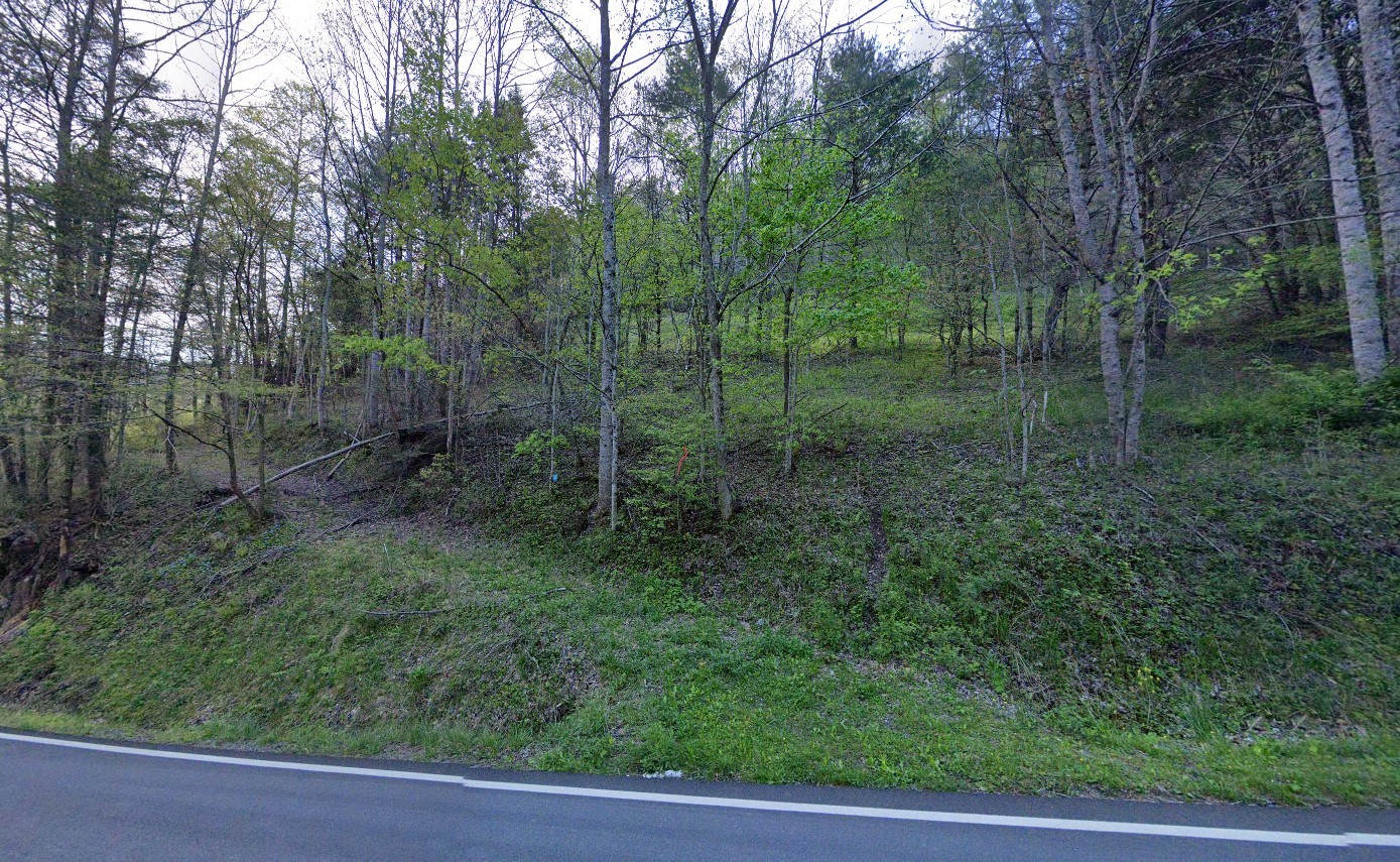 480 Poga Road Butler, TN 37640 - Photo 2 of 5 a view of a forest with a small yard