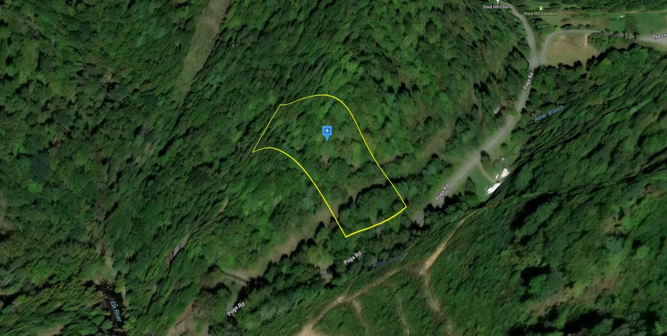 480 Poga Road Butler, TN 37640 - Photo 3 of 5 a view of a lush green field