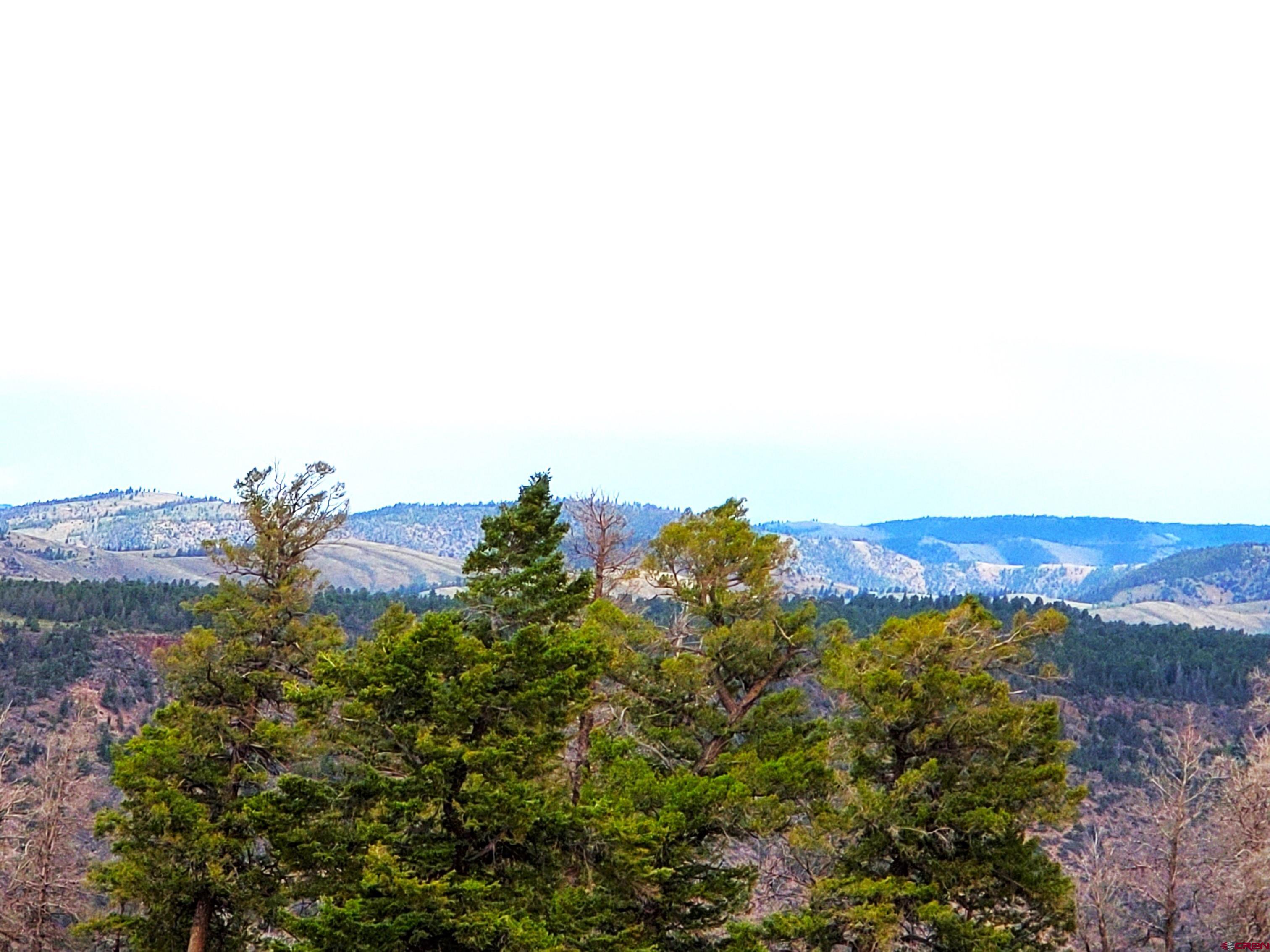 294 Schofield Trail Powderhorn, CO 81243 - Photo 8 of 10 a view of a tree in a field