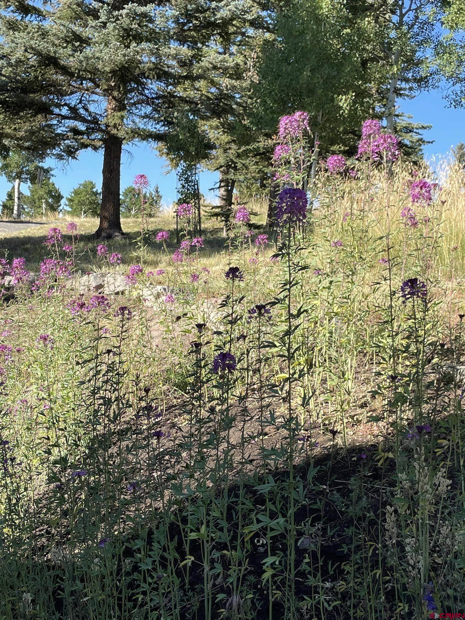 294 Schofield Trail Powderhorn, CO 81243 - Photo 9 of 10 a play ground with fountain in the middle and a flower garden