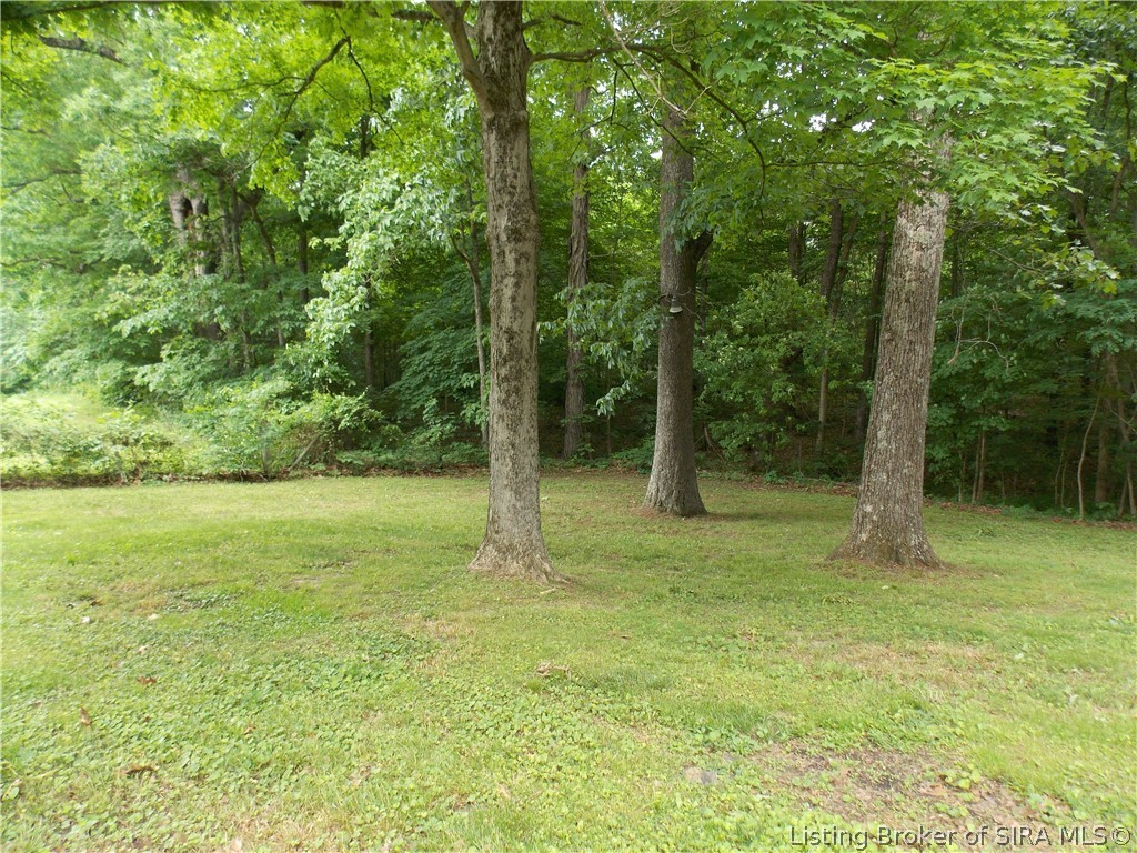 8914 Henryville Otisco Road Otisco, IN 47163 - Photo 7 of 20 Gallery Image 7