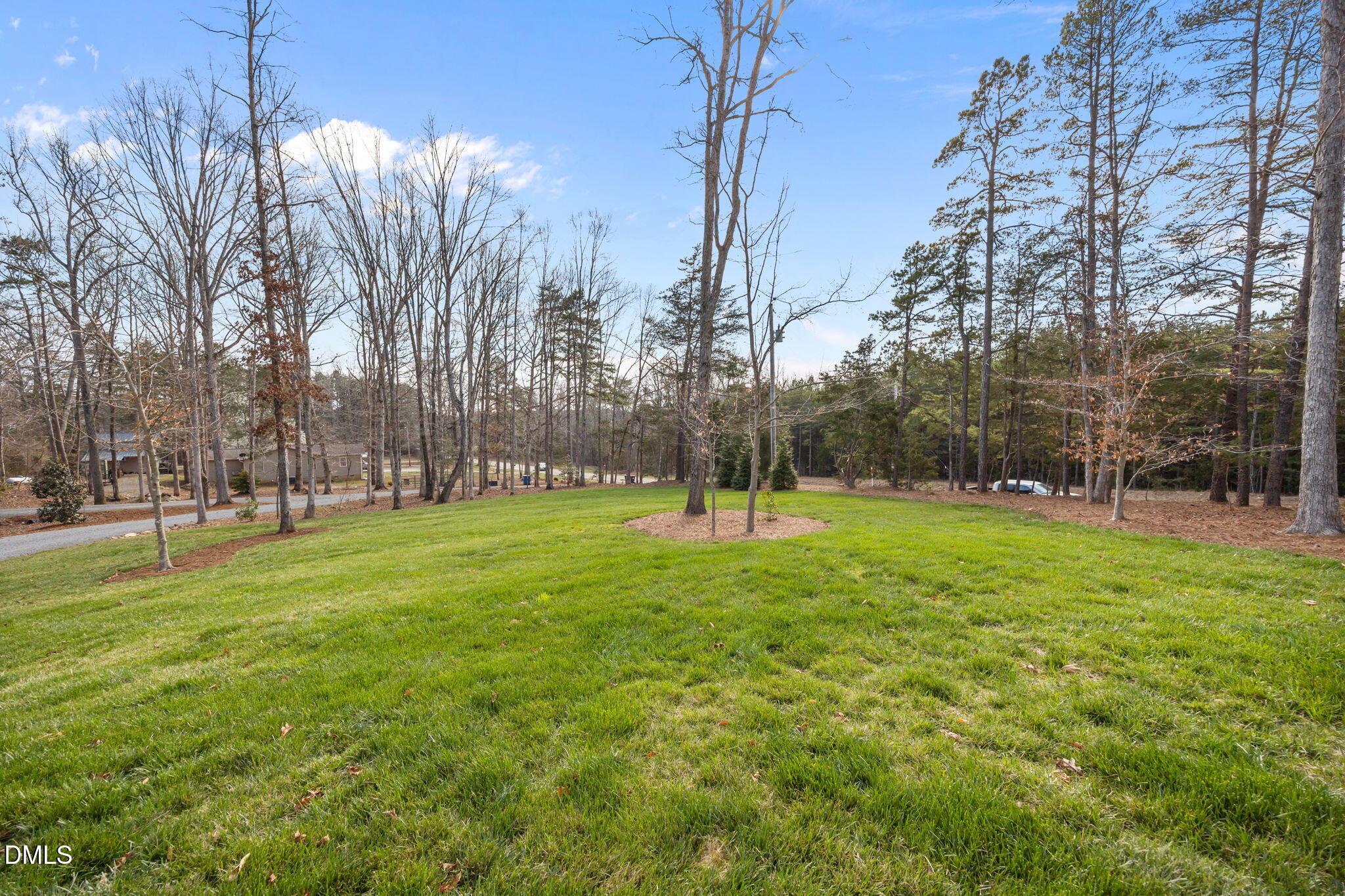6450 Moores Mill Road Rougemont, NC 27572 - Photo 53 of 66 a view of a park with large trees