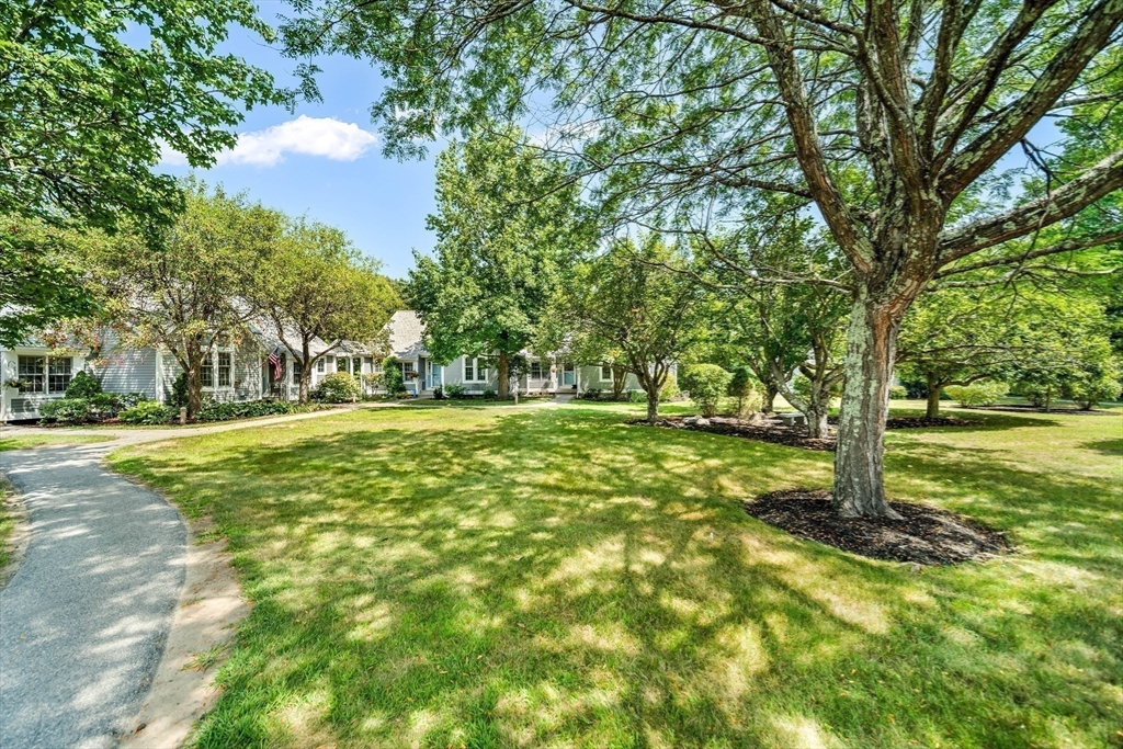 128 Audubon Drive, Unit 128 Acton, MA 01720 - Photo 41 of 42 a view of outdoor space with trees all around