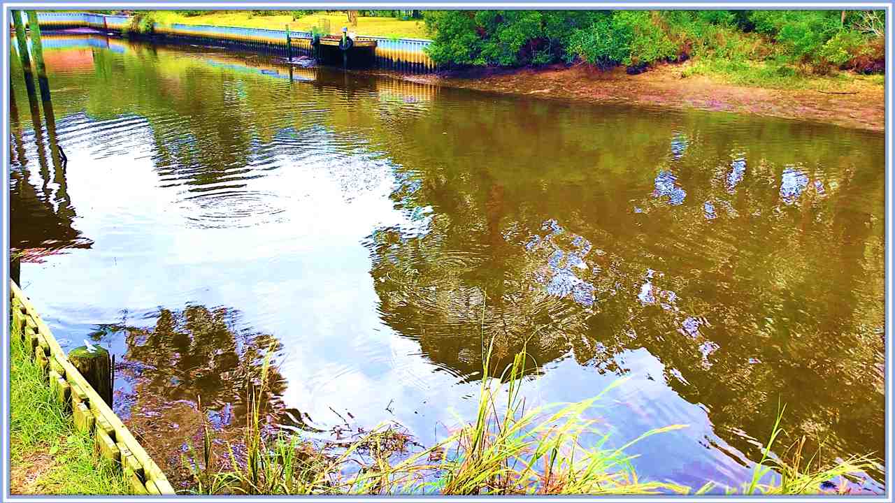 125 Mashes Sands Road Panacea, FL 32346 - Photo 19 of 23 Gallery Image 19