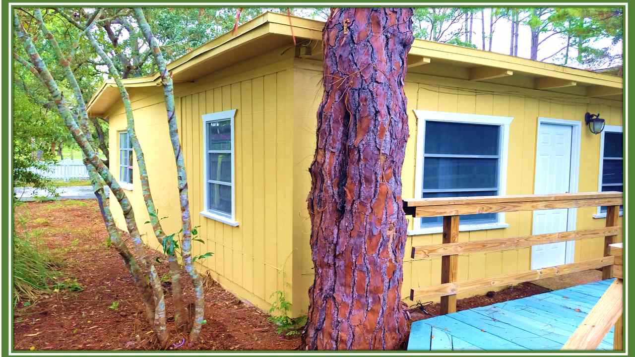 125 Mashes Sands Road Panacea, FL 32346 - Photo 4 of 23 Gallery Image 4