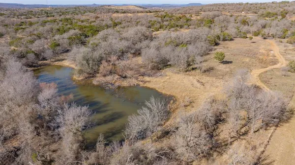 a view of a forest with a lake view