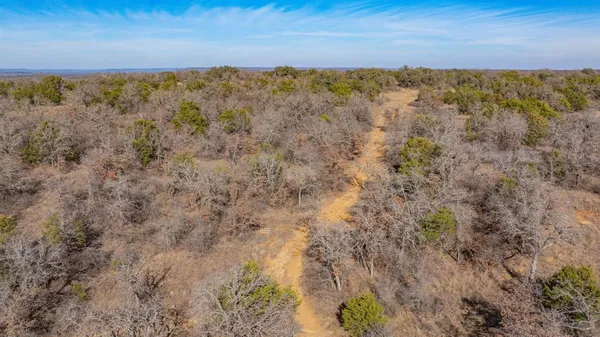 a view of a forest with mountains in the background