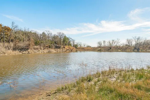 a view of mountain covered with trees