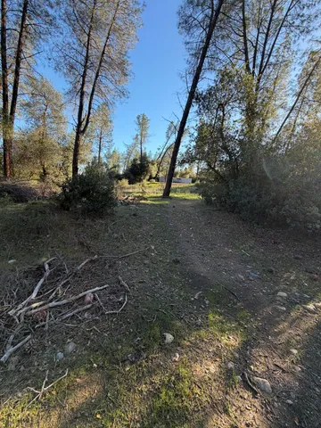 a view of a backyard of a house