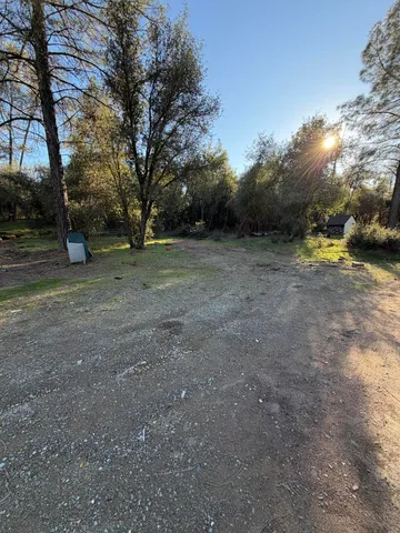 a view of a yard with a tree