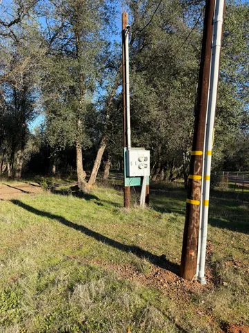 a view of a park that has a tree on the side