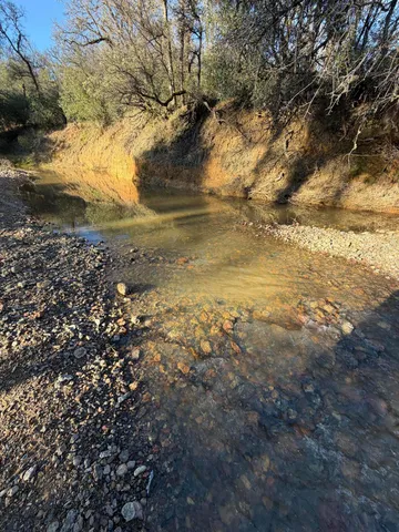 a view of yard with green space