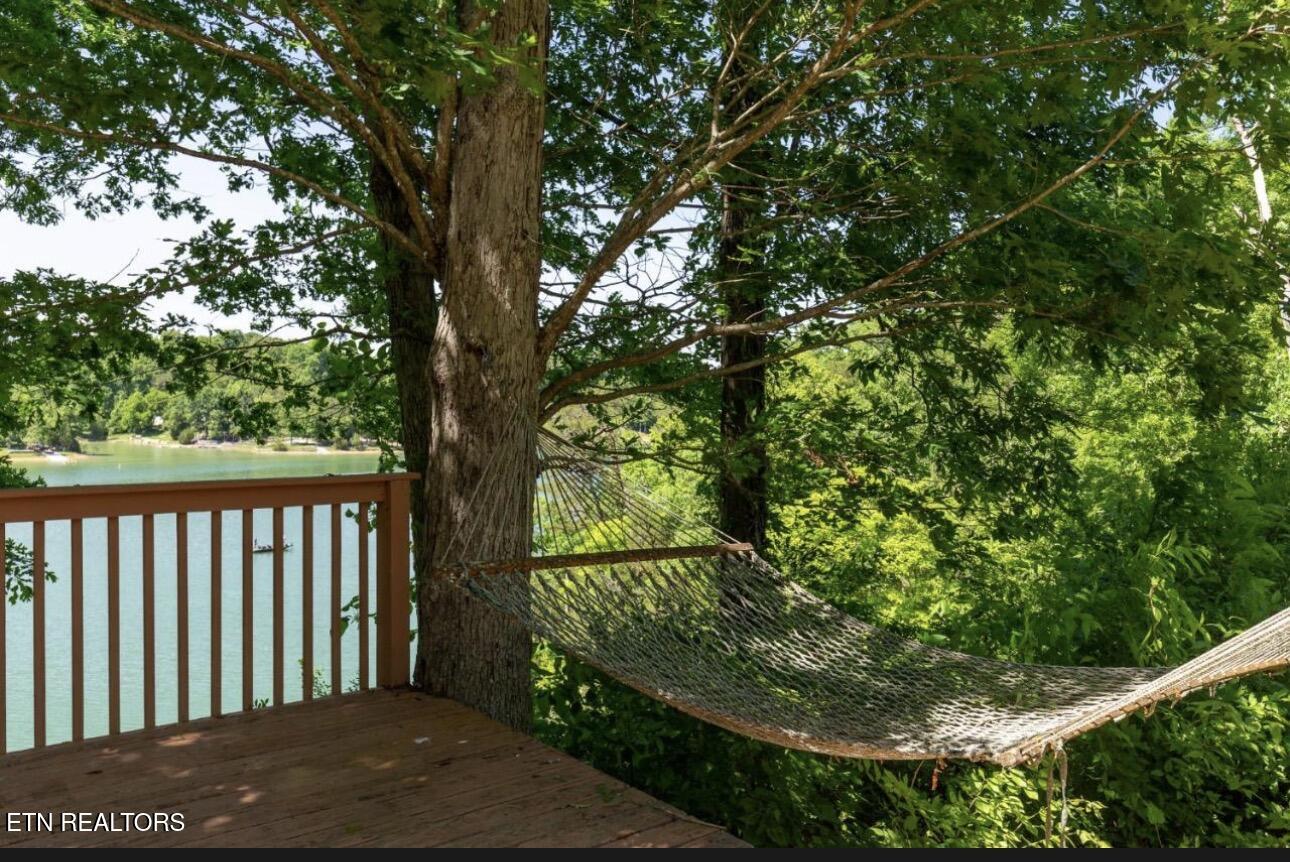 2145 Stillhouse Road Dandridge, TN 37725 - Photo 9 of 36 Hammock