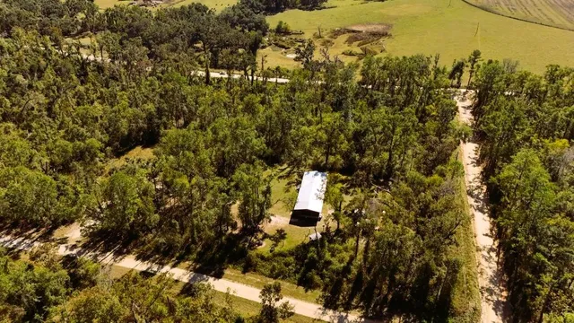 a view of under green space